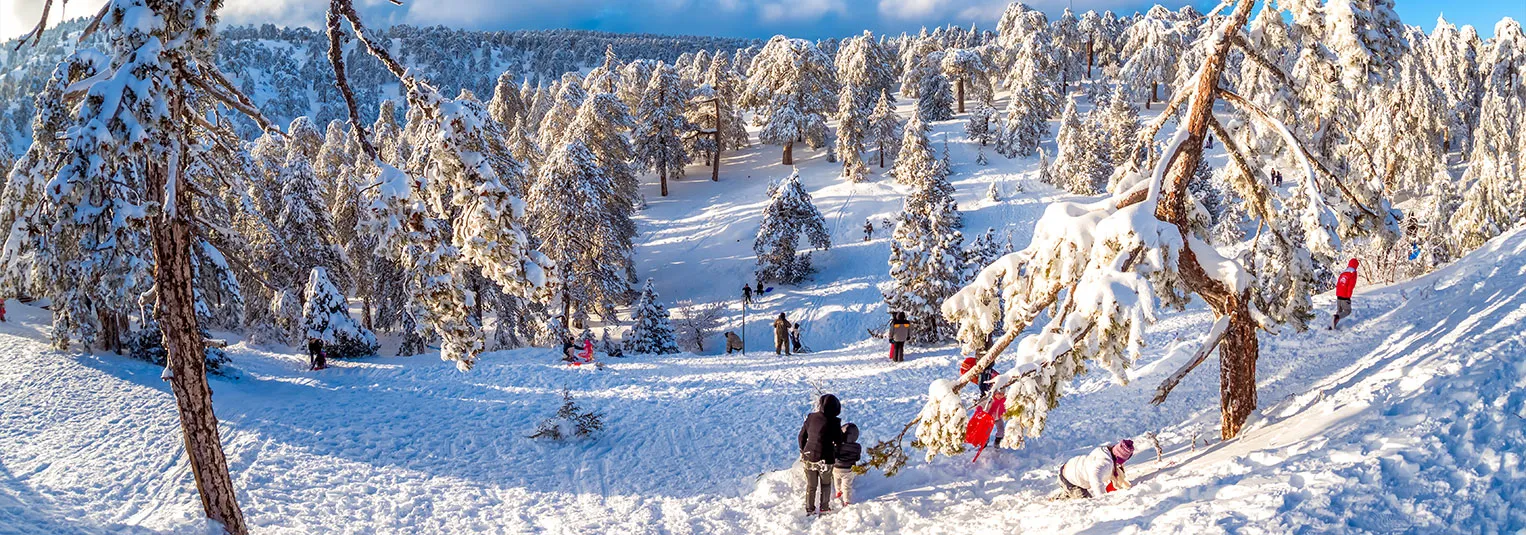 banner-last-minute-cyprus-vacation-packages-strategies-and-deals-1